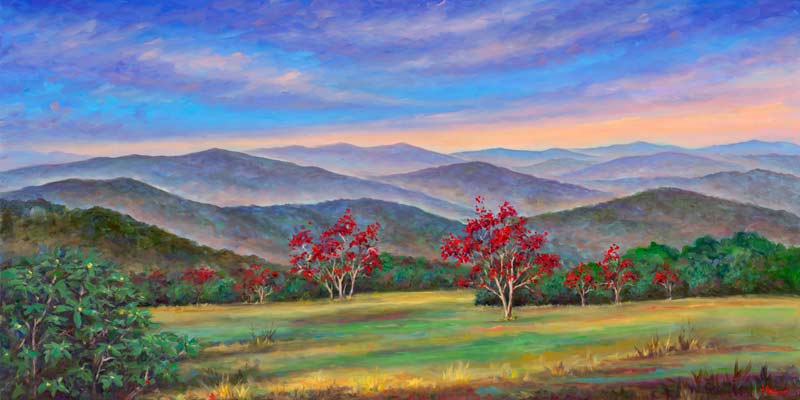 Panoramic view from Craggy Gardens near Asheville North Carolina.